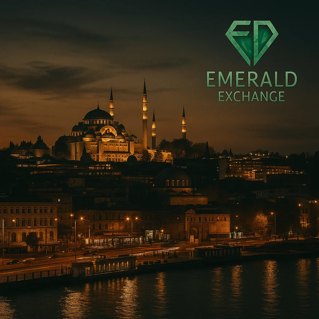 نمایی از استانبول برای خدمات حواله لیر و یورو ترکیه